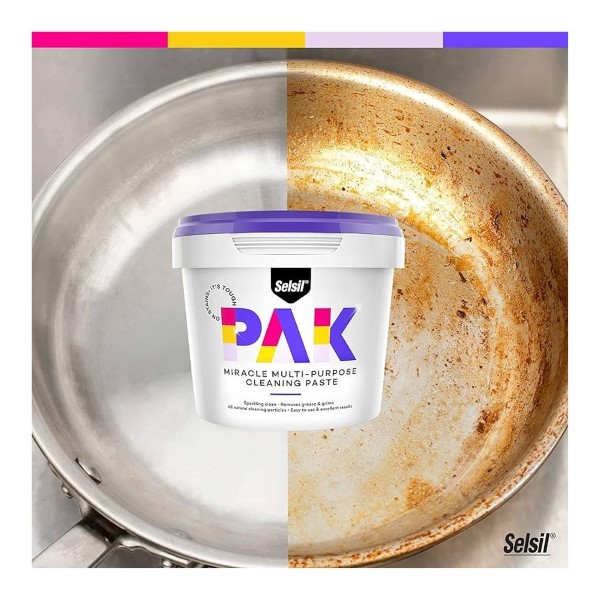 Selsil Multi-Purpose Cleaning Paste 500g