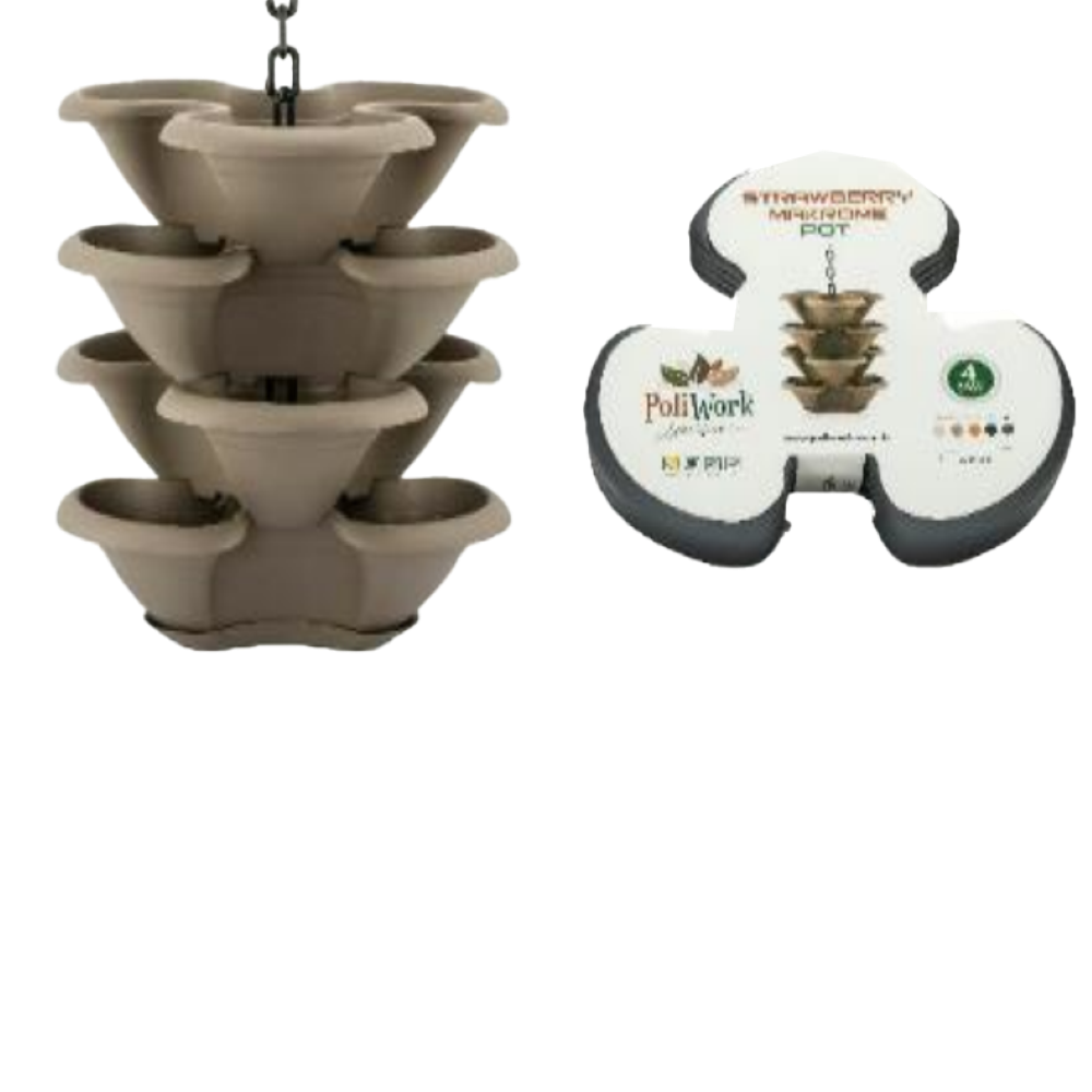 Poliwork Strawberry Makreme 4Pcs Brown