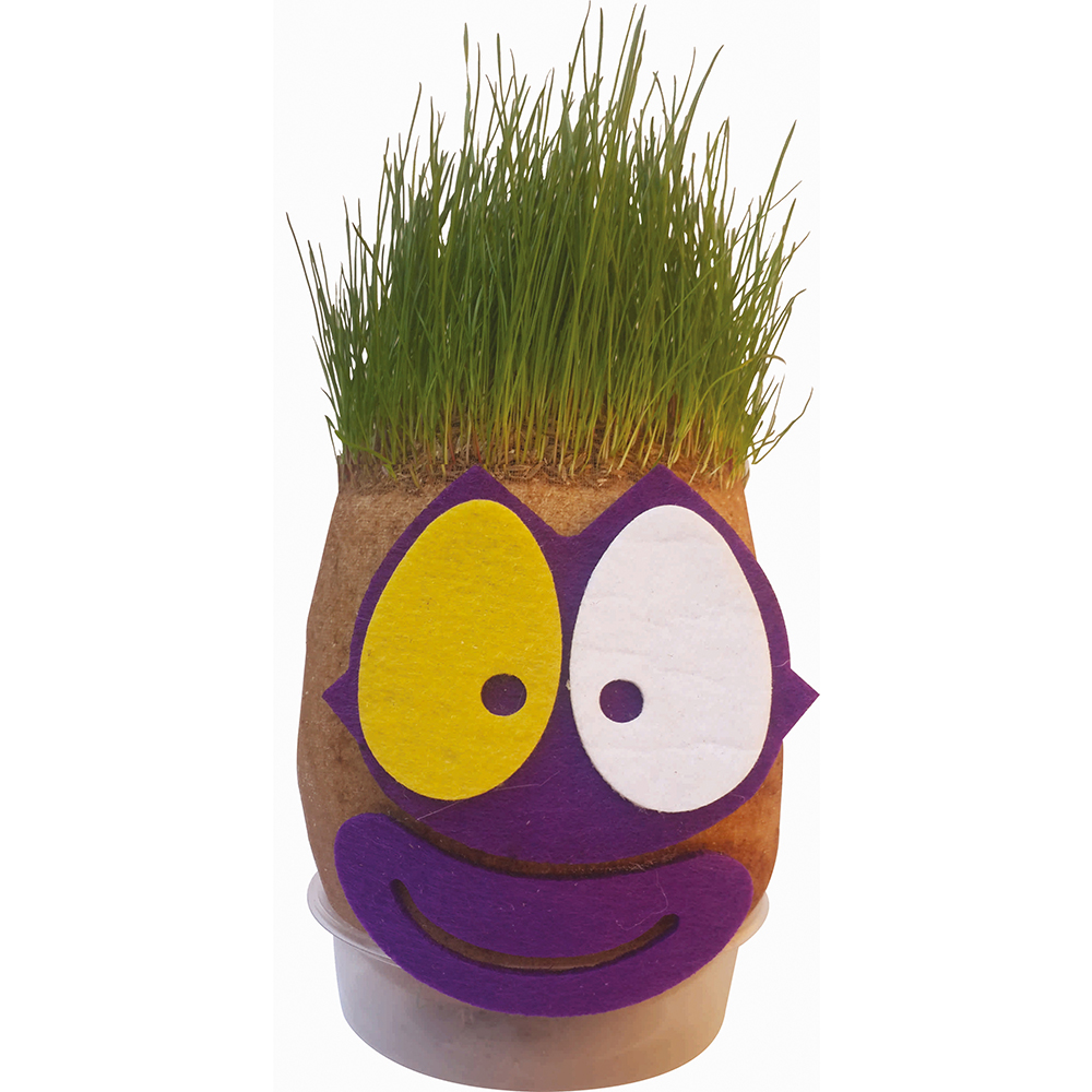 Grass Cimcik-Grass Head