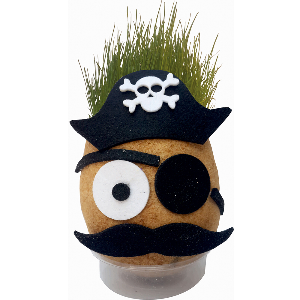 Grass Cimcik-Grass Head