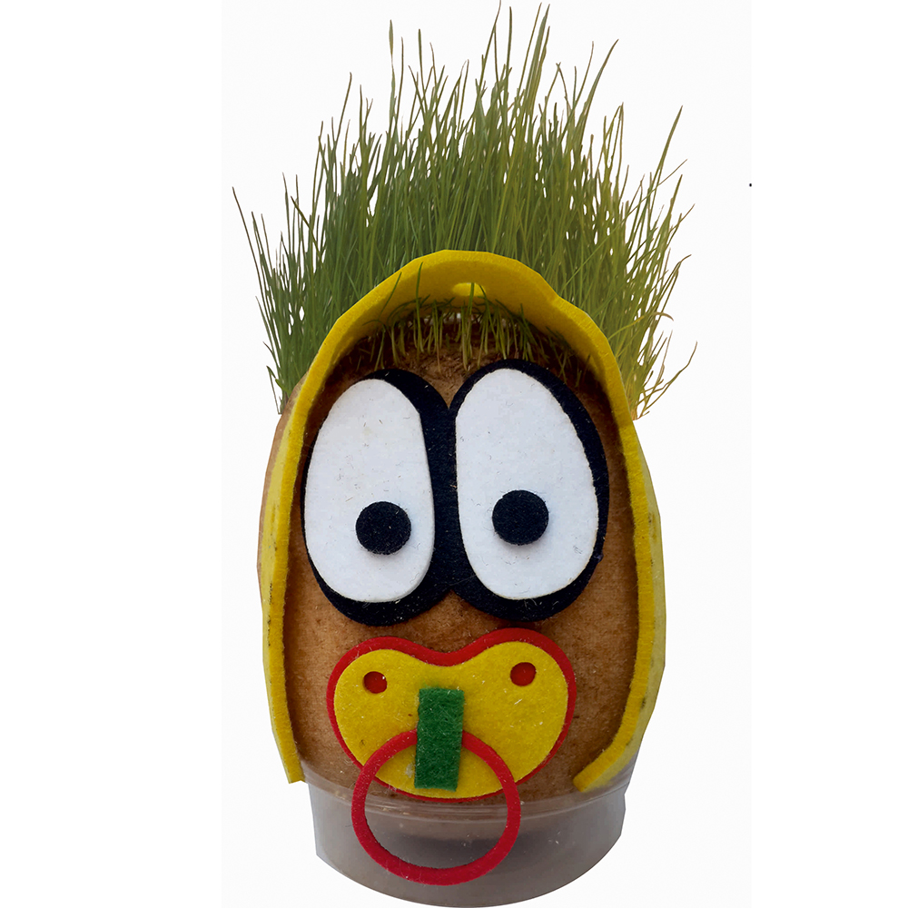 Grass Cimcik-Grass Head