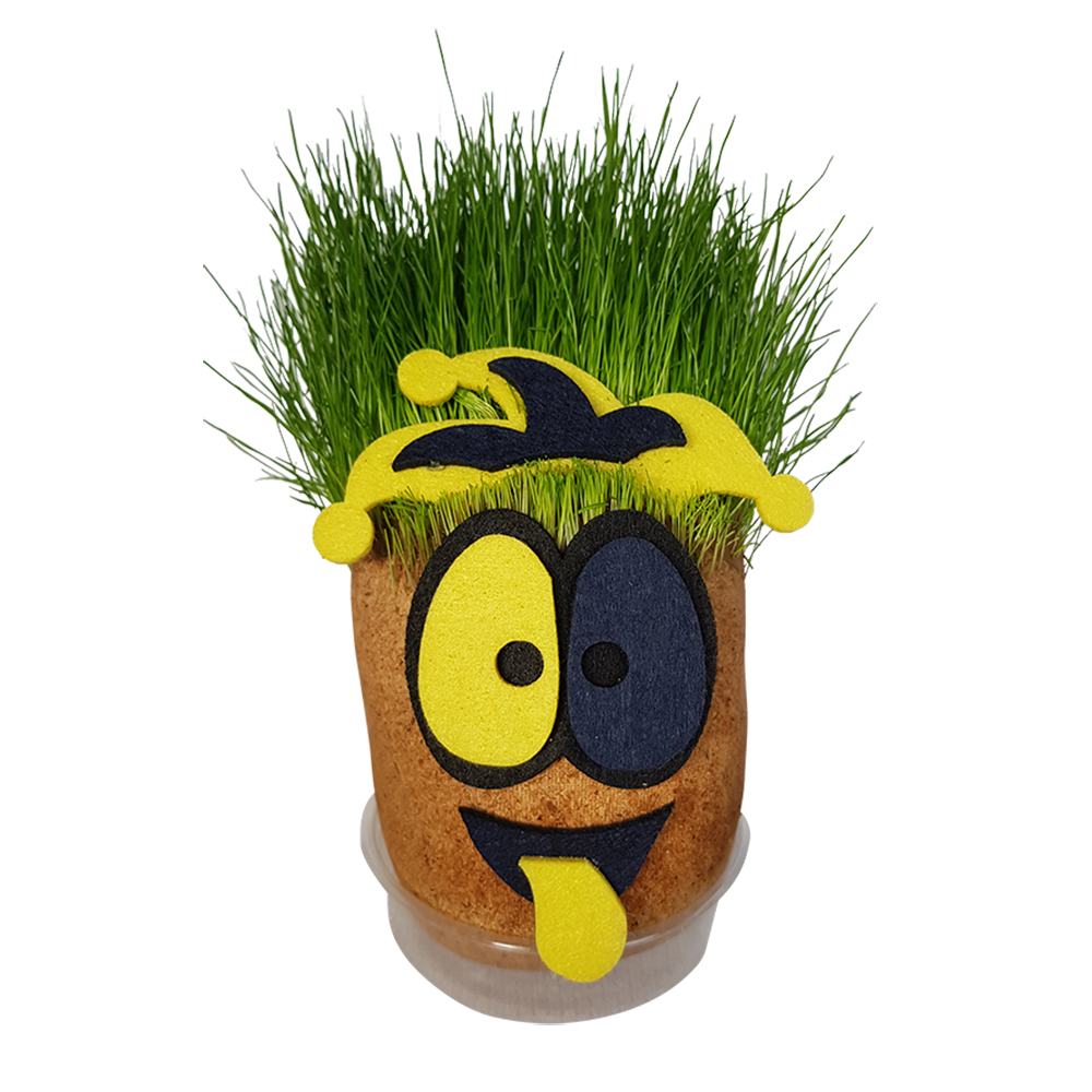 Grass Cimcik-Grass Head