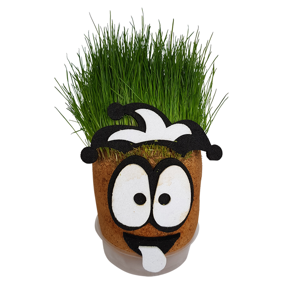Grass Cimcik-Grass Head