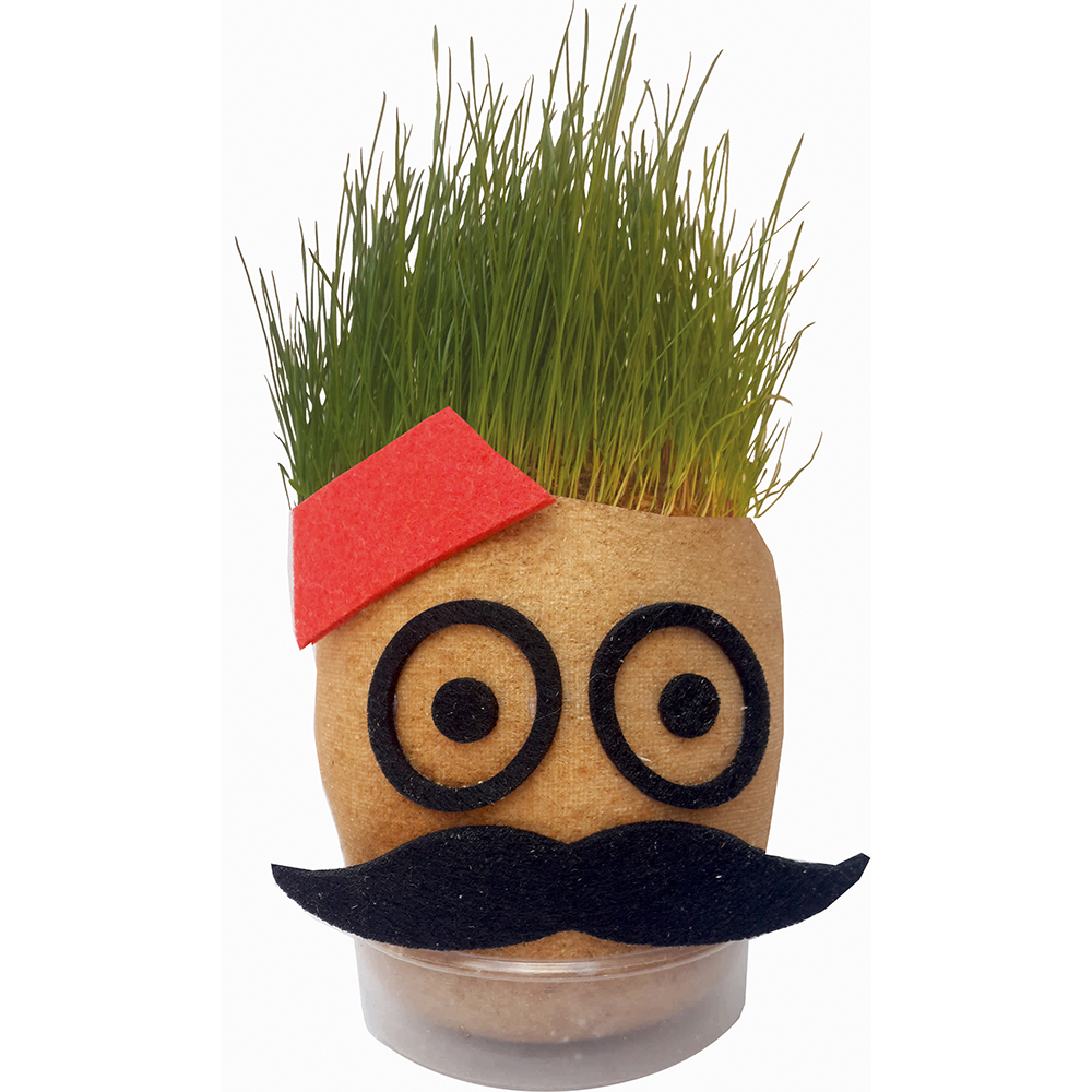 Grass Cimcik-Grass Head