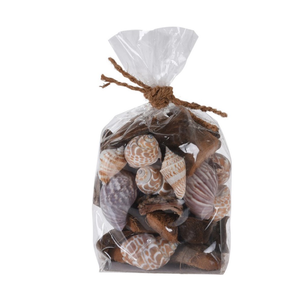 Koopman Decorative Shells