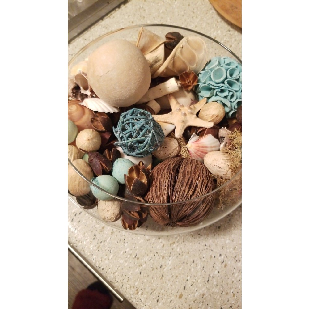 Koopman Shells in Jar 110 * 155 Cm 4 Assorted