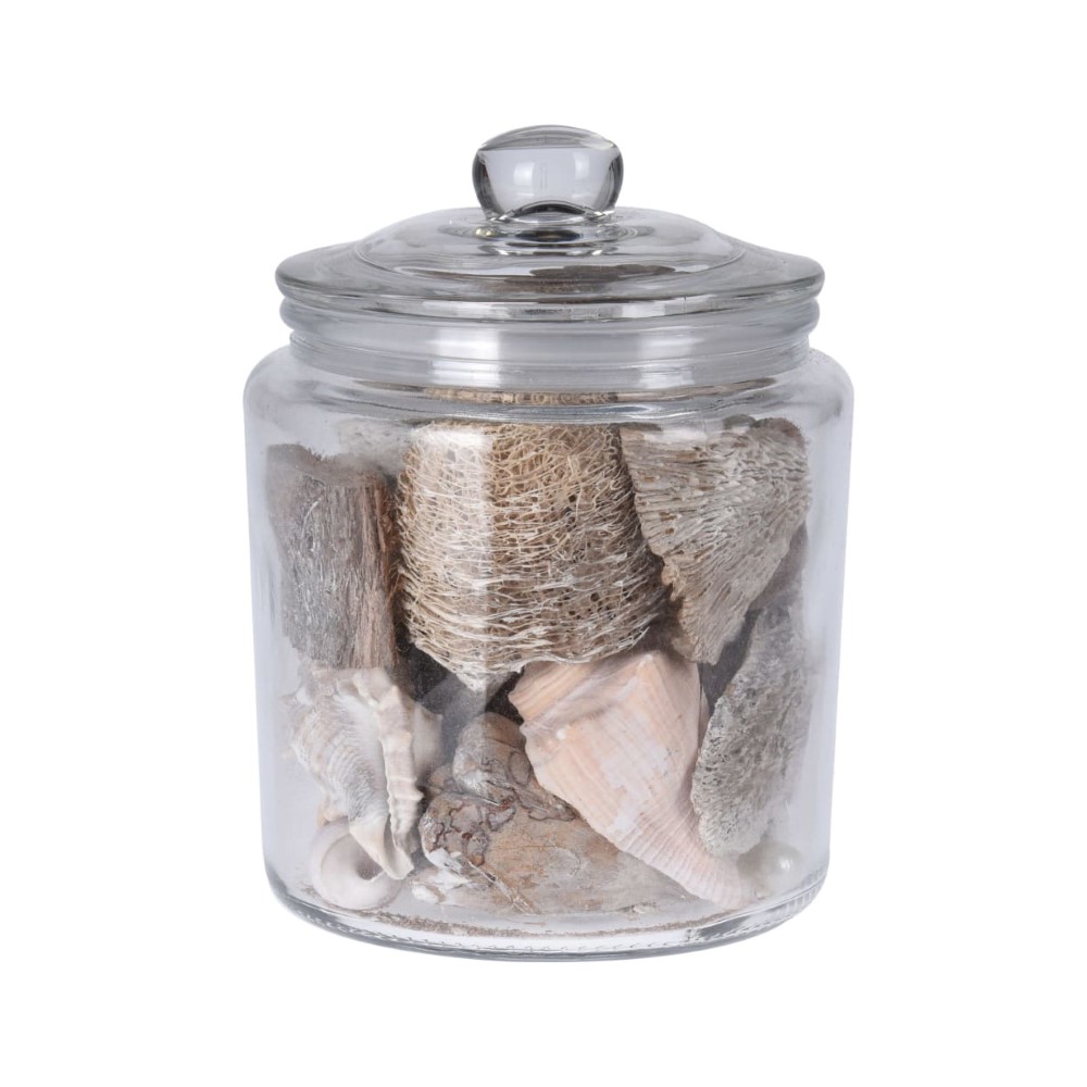 Koopman Shells in Jar 110 * 155 Cm 4 Assorted