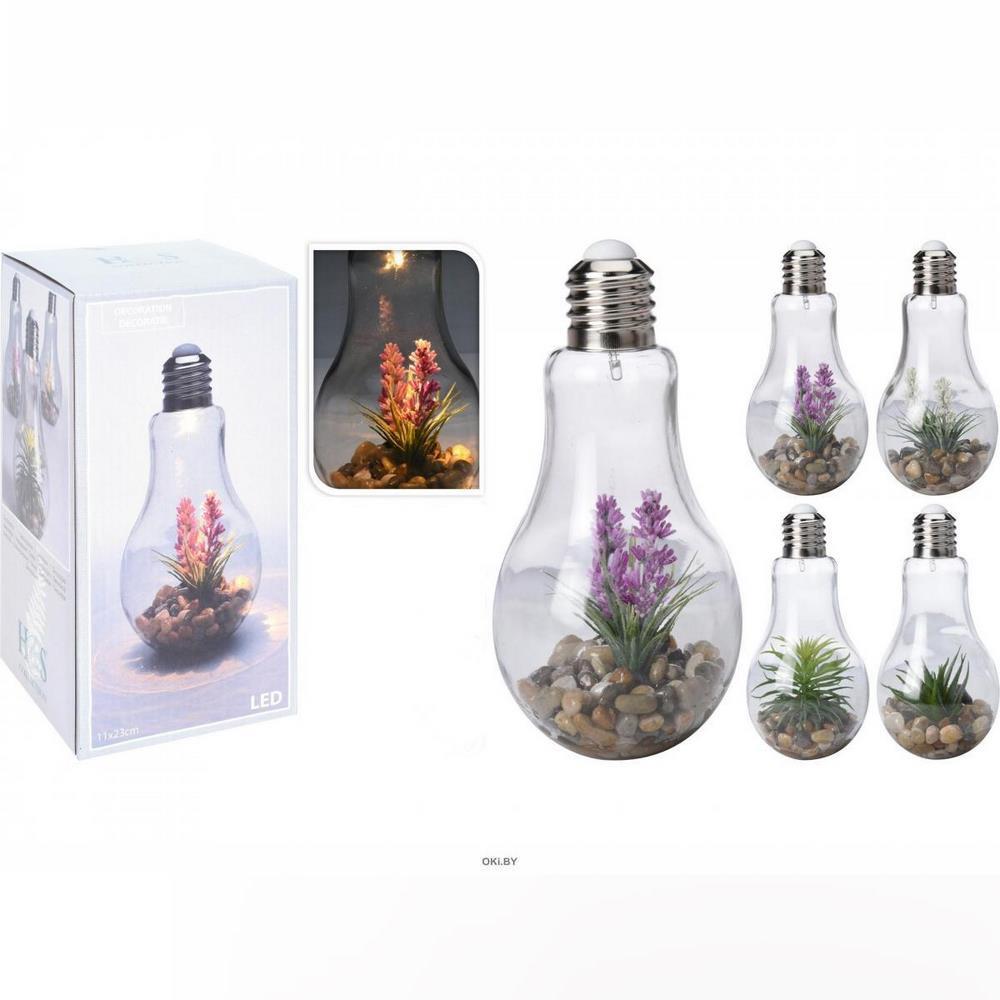 Koopman Lamp Glass Led Lights And Plant