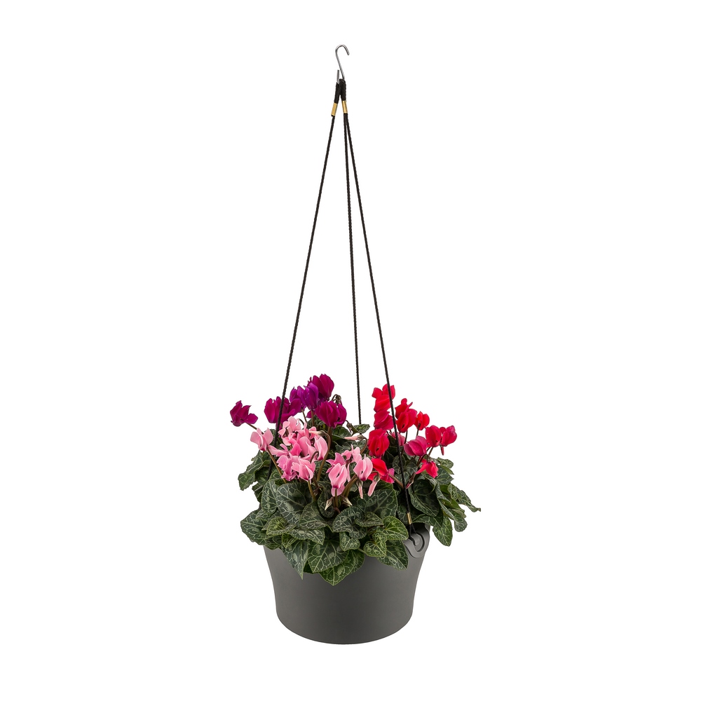Poliwork Gardenya Makreme Flower Pot 26 Anthracite