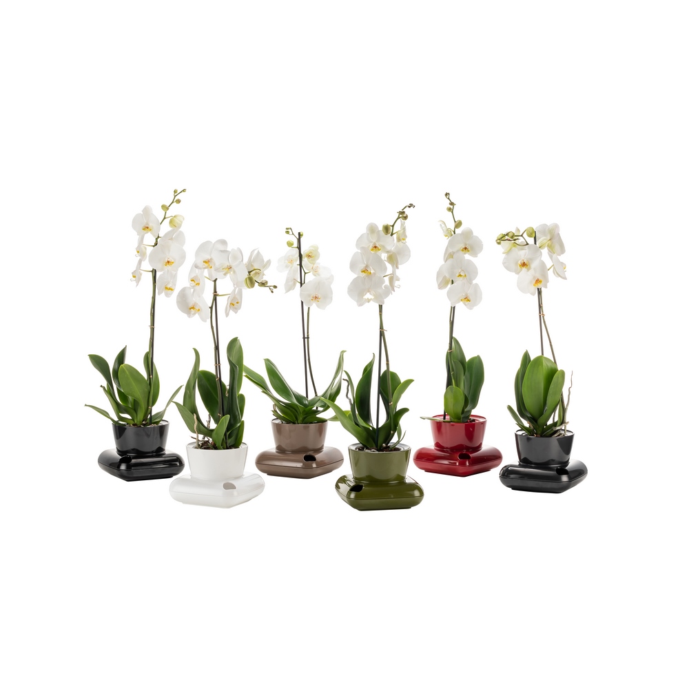 Poliwork Gala Flower Pot Black