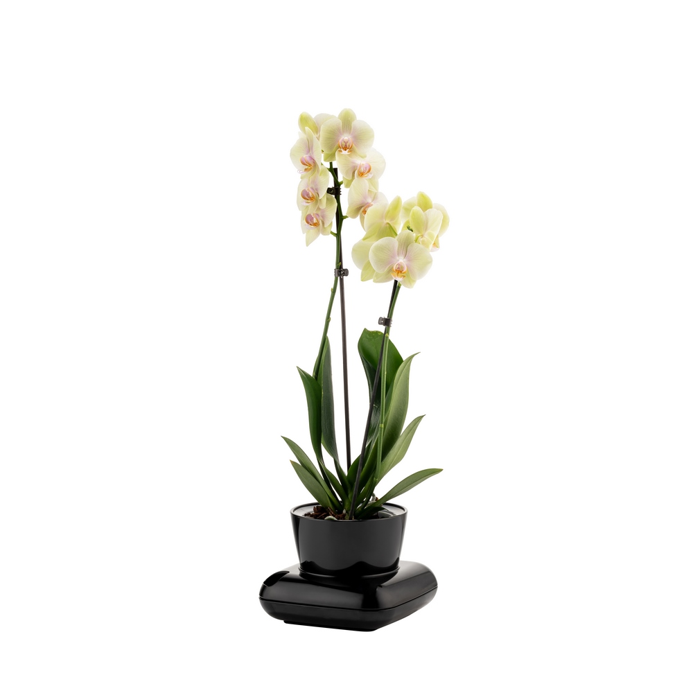 Poliwork Gala Flower Pot Black