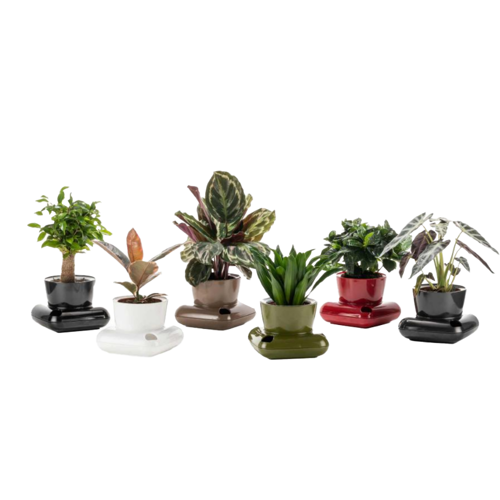 Poliwork Gala Flower Pot Black
