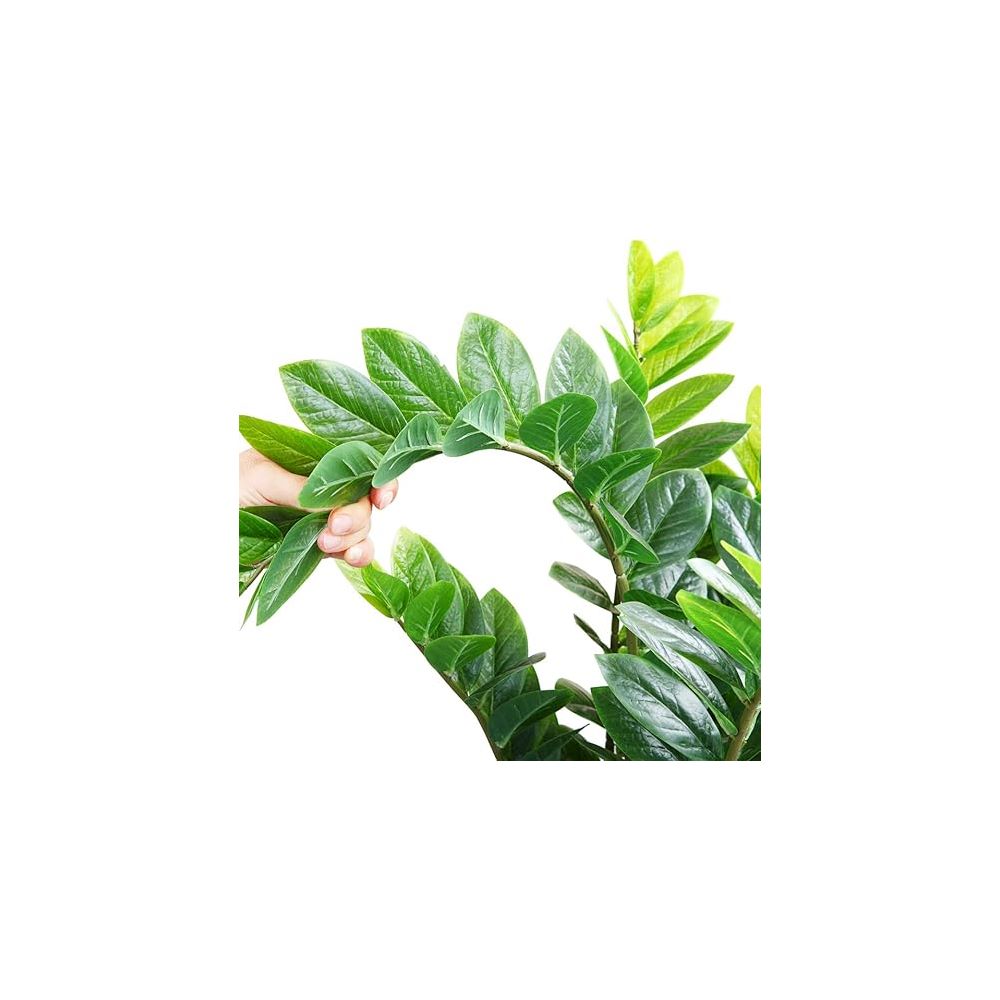 Oster Zambia Artificial Plant 65cm