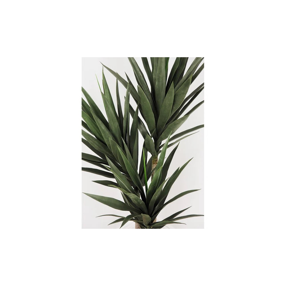 Oster Yukka 3-piece Artificial Plant 150cm