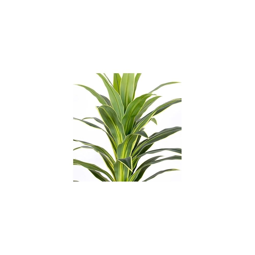 Oster Artificial Tree 150cm - 0445