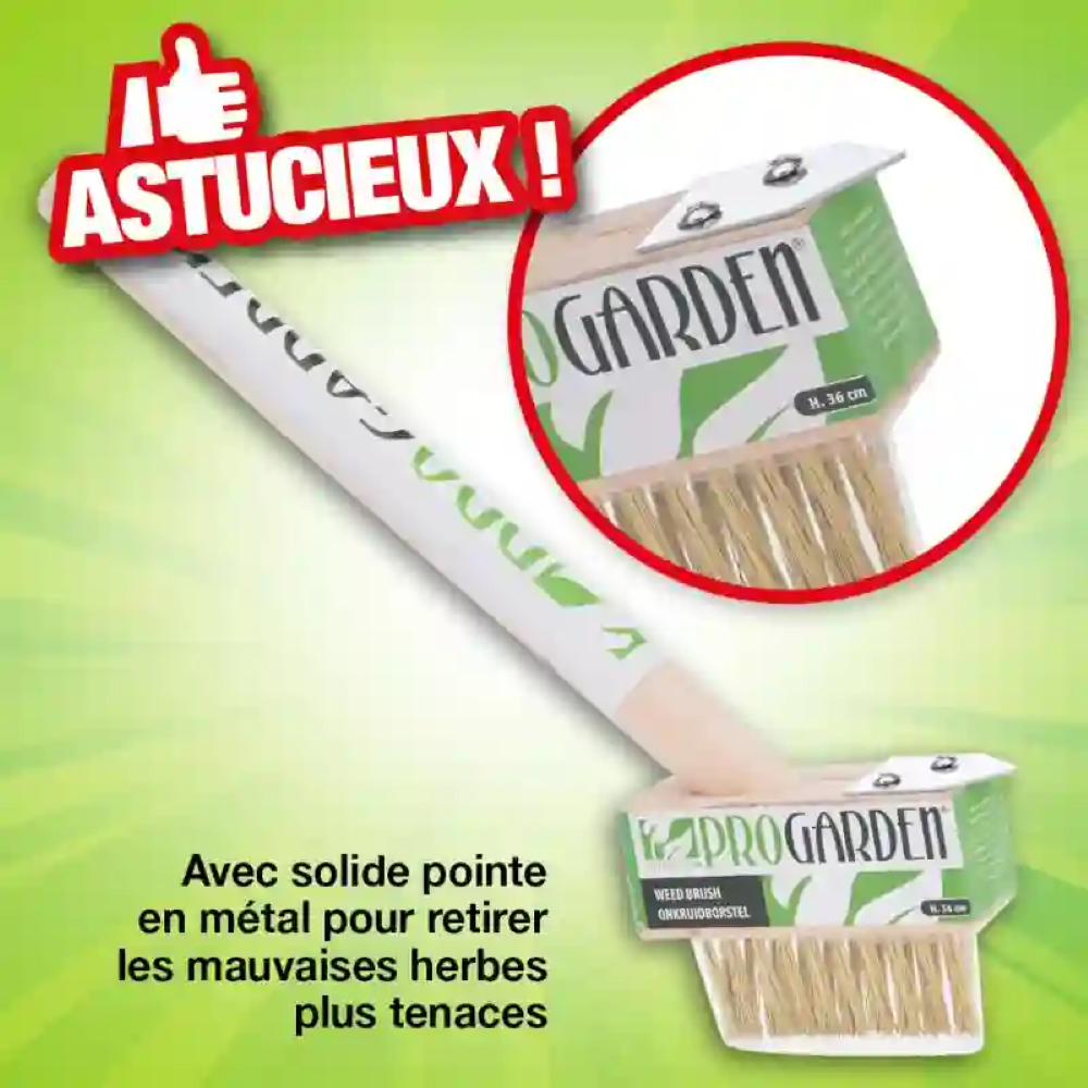 Koopman Weed Brush With Handle 37Cm