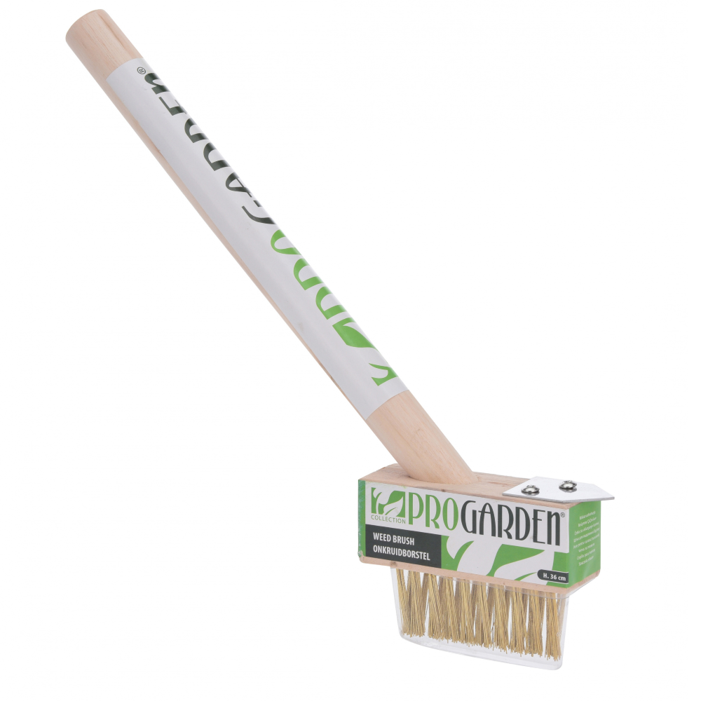 Koopman Weed Brush With Handle 37Cm