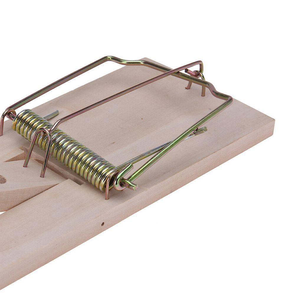 Koopman Mousetrap 170X85Mm