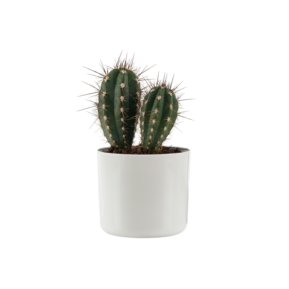 Poliwork Mimoza Flower Pot 11 White