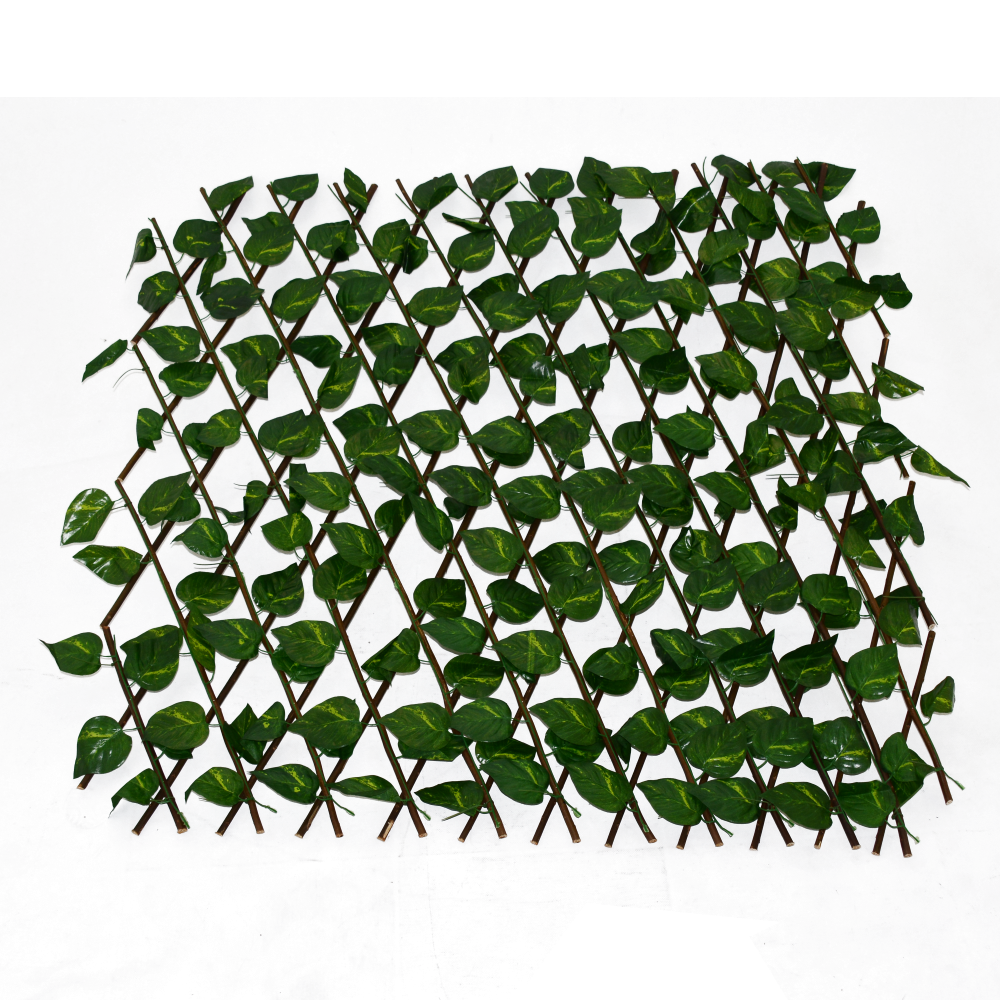 Koopman Artificial Leaf Trellis