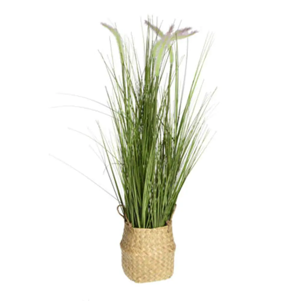 Koopman Grass Plant in Basket 4Ass