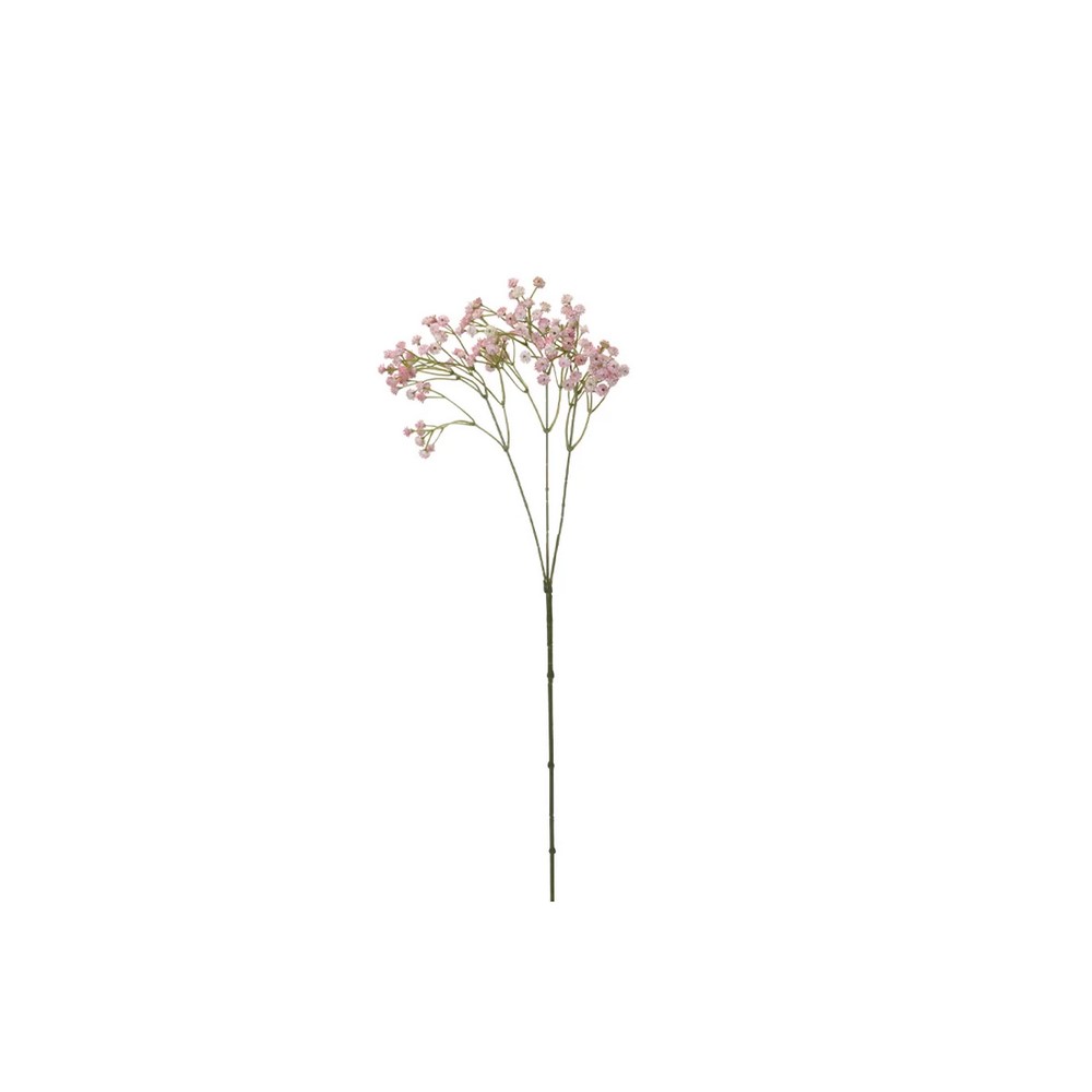 Koopman Plant Gypsophila 68Cm  20 Gr 2Ass