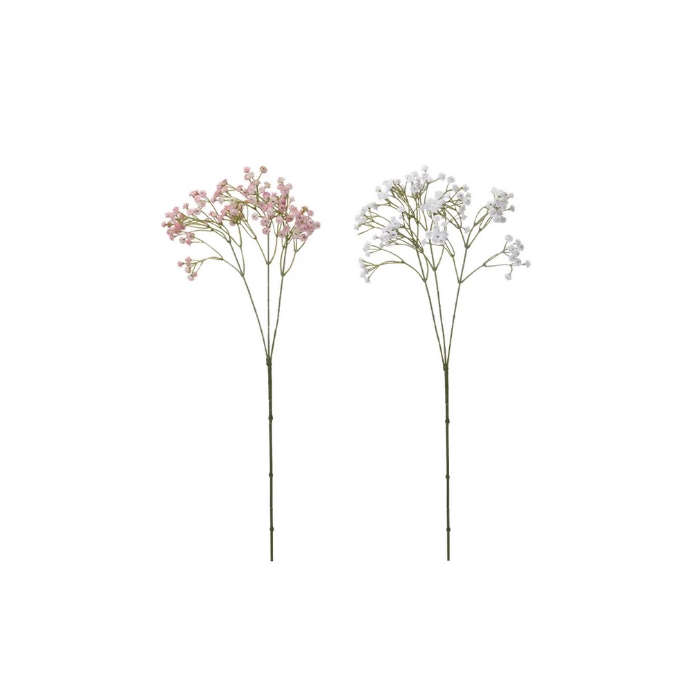 Koopman Plant Gypsophila 68Cm  20 Gr 2Ass