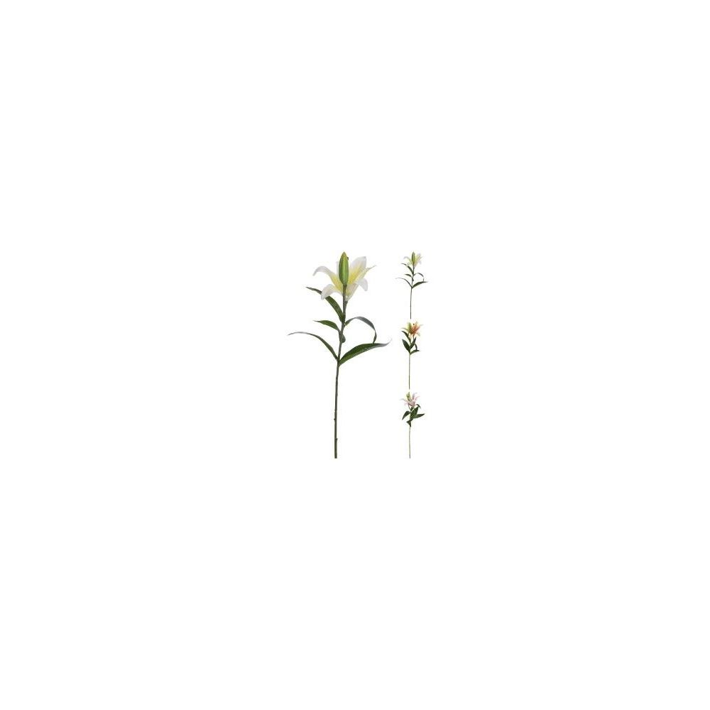 Koopman Artificial 59Cm  3Ass