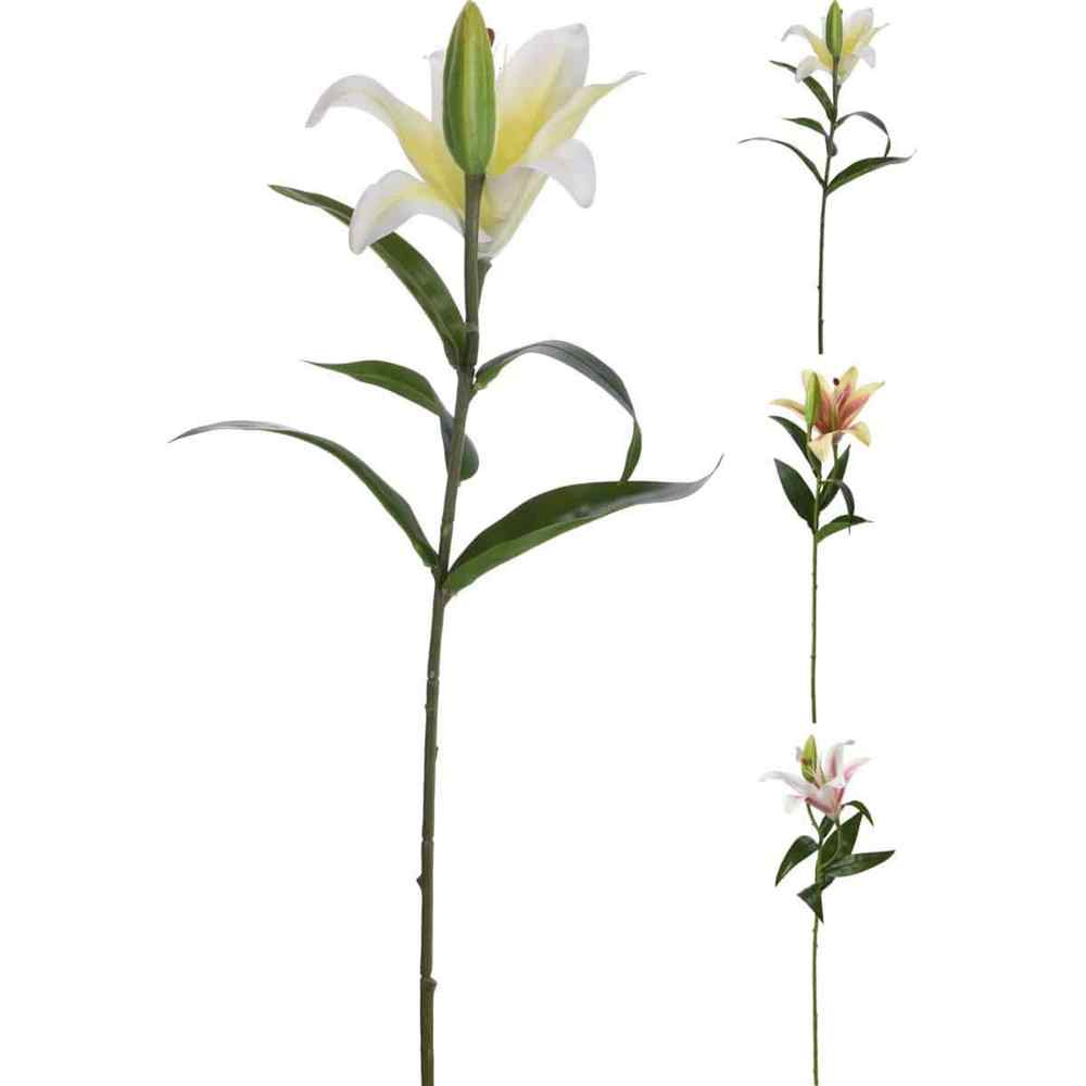 Koopman Artificial 59Cm  3Ass