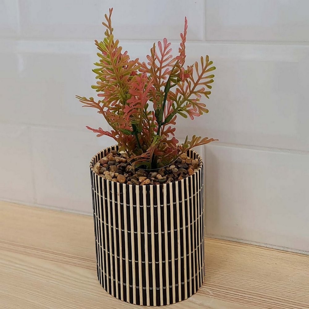 Koopman Plant in Bamboo Pot 10X10X26Cm