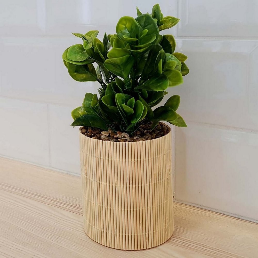 Koopman Plant in Bamboo Pot 10X10X26Cm