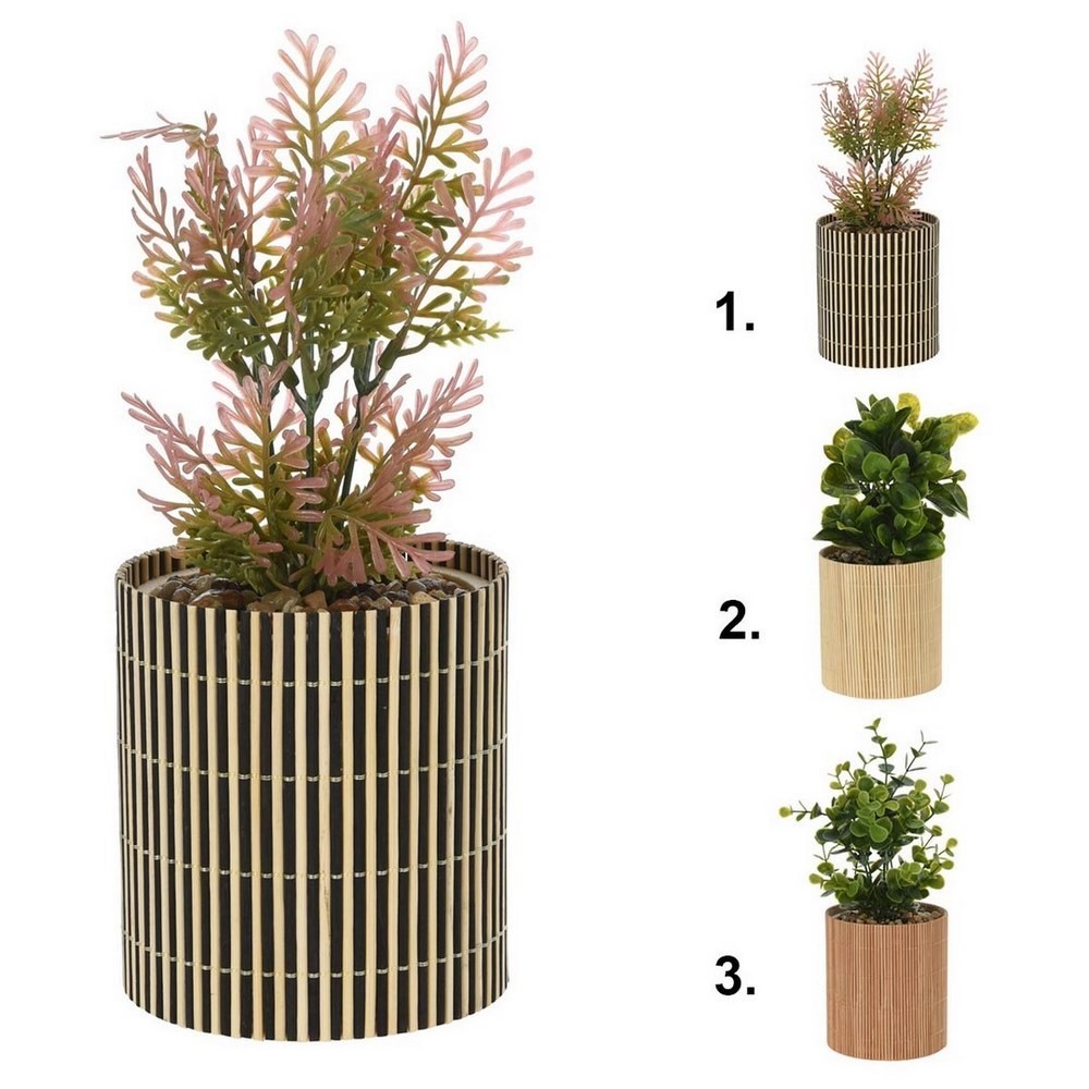 Koopman Plant in Bamboo Pot 10X10X26Cm