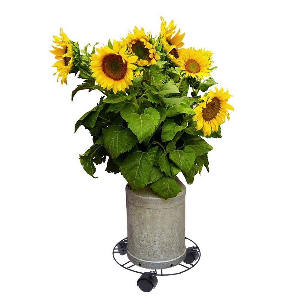Koopman Flower Trolley 25Cm Black