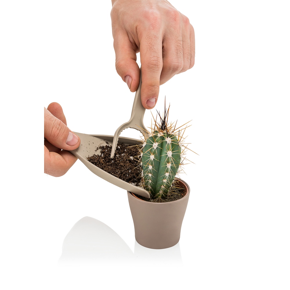 Poliwork Kakti - Cactus Maintenance Kit Mix