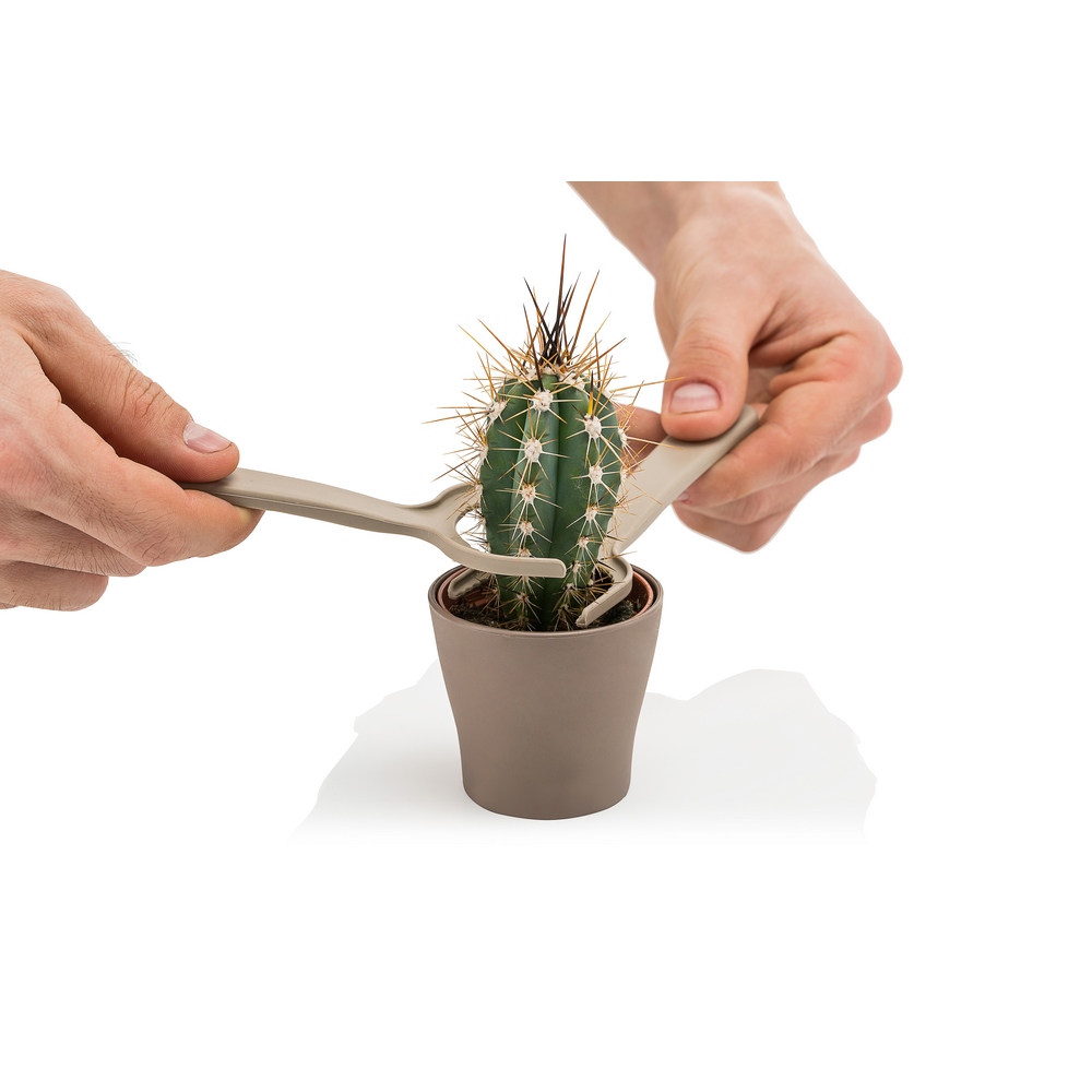 Poliwork Kakti - Cactus Maintenance Kit Mix