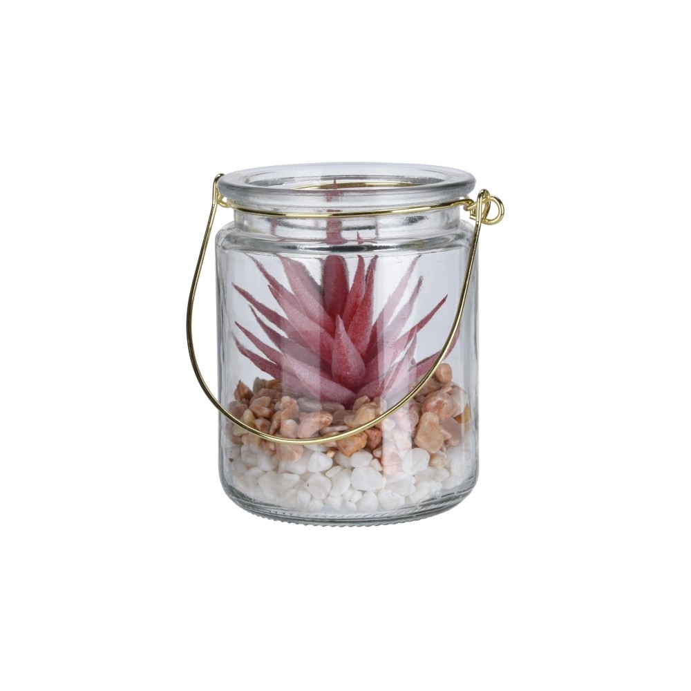 Koopman Plant in Glass Hanger 4Ass