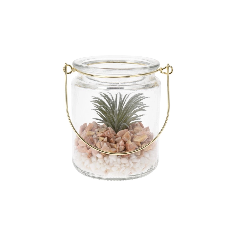 Koopman Plant in Glass Hanger 4Ass