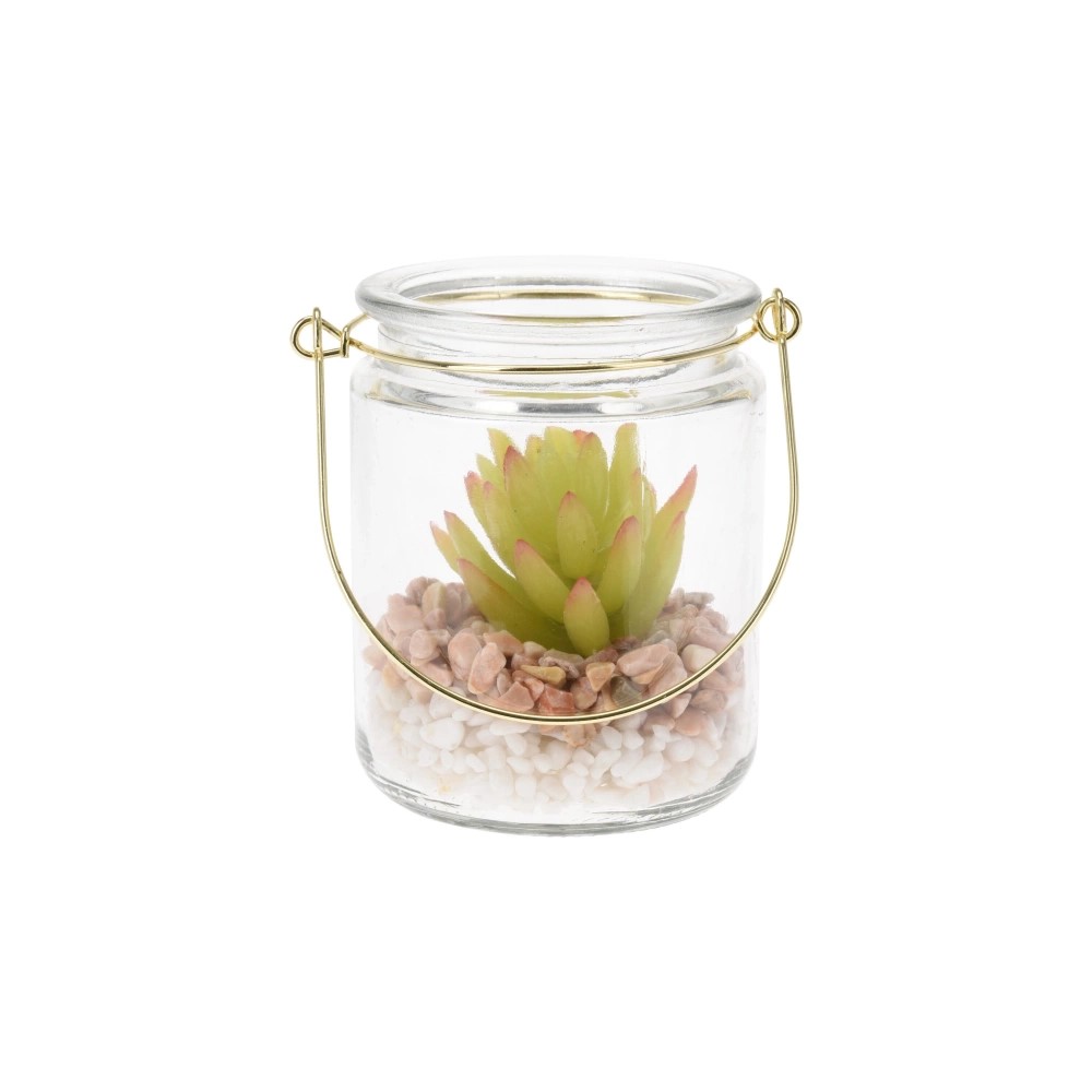 Koopman Plant in Glass Hanger 4Ass