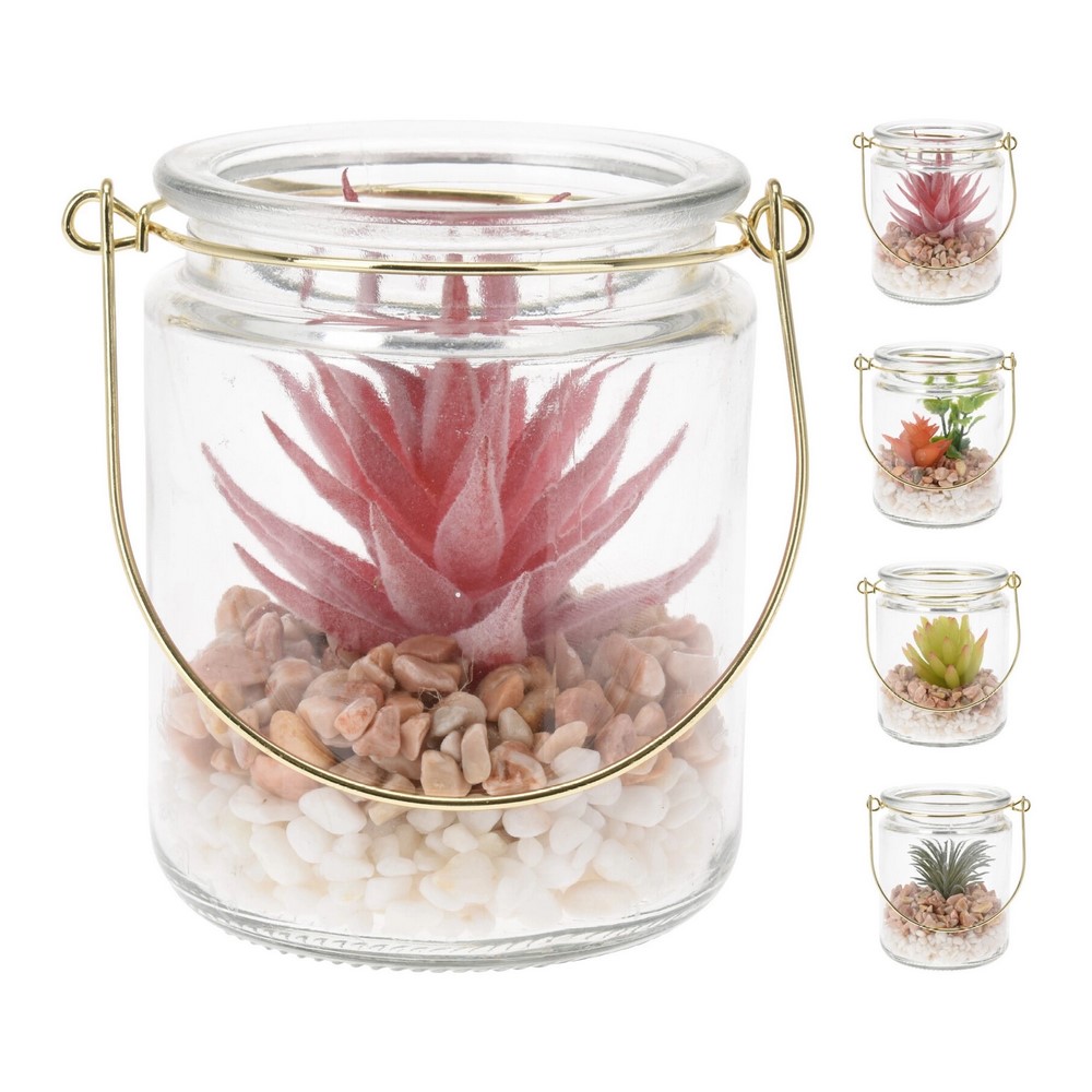 Koopman Plant in Glass Hanger 4Ass