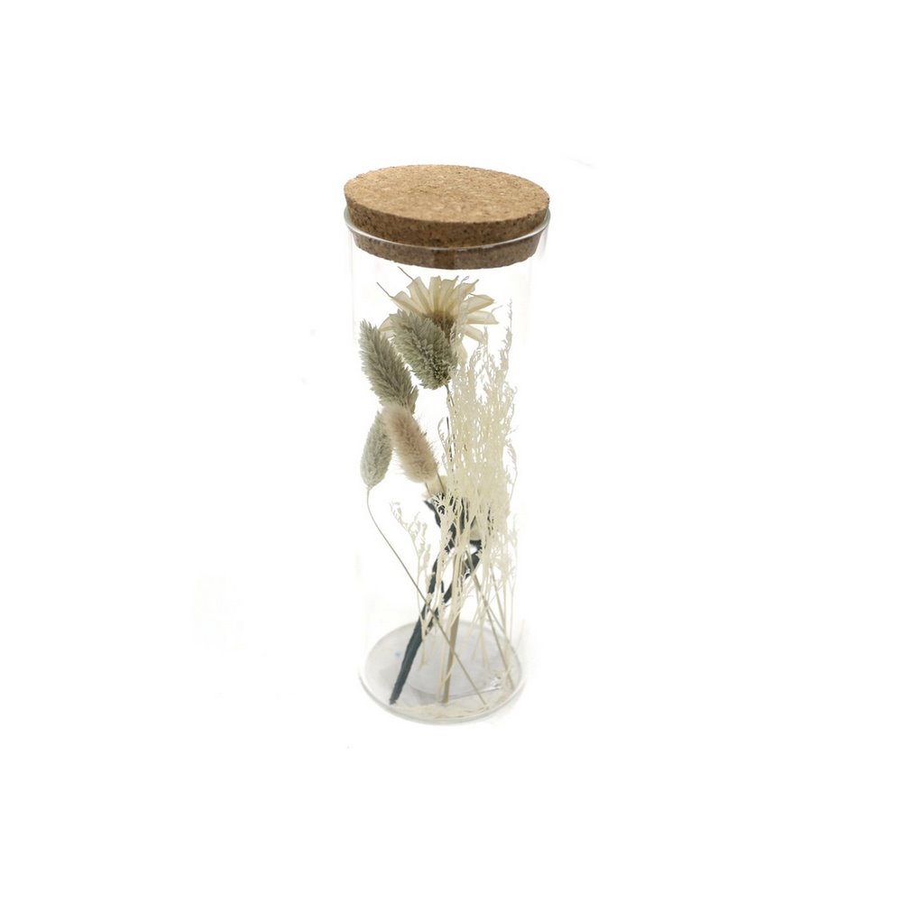 Koopman Dry Flower In Tube 8X8X24Cm
