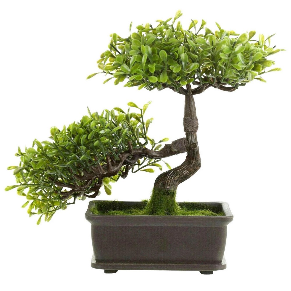 Koopman Artificial Tree Bonsai