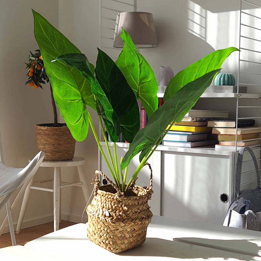 Koopman Artifıcial Celia Plant In Basket 46Cm