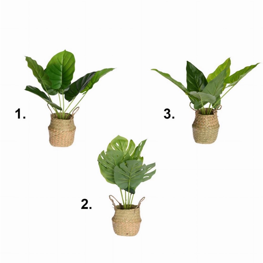 Koopman Artifıcial Celia Plant In Basket 46Cm