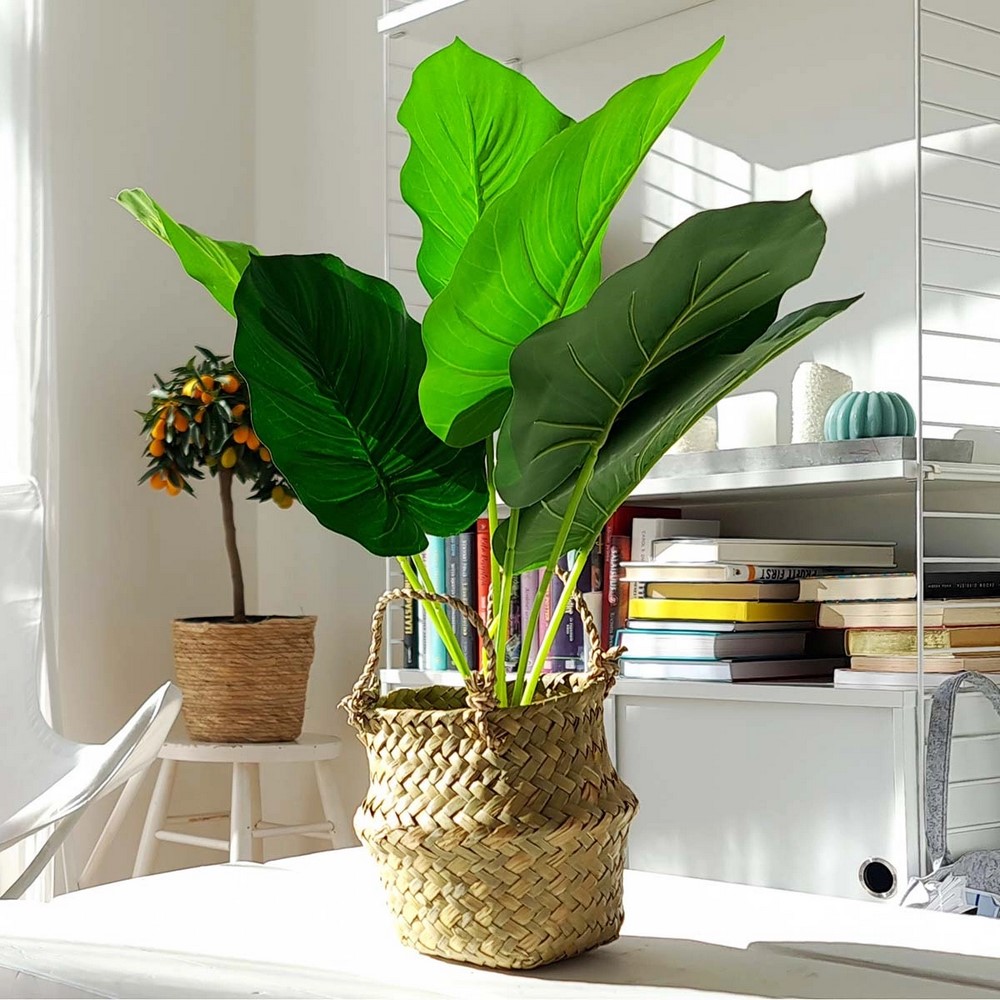 Koopman Artifıcial Celia Plant In Basket 46Cm