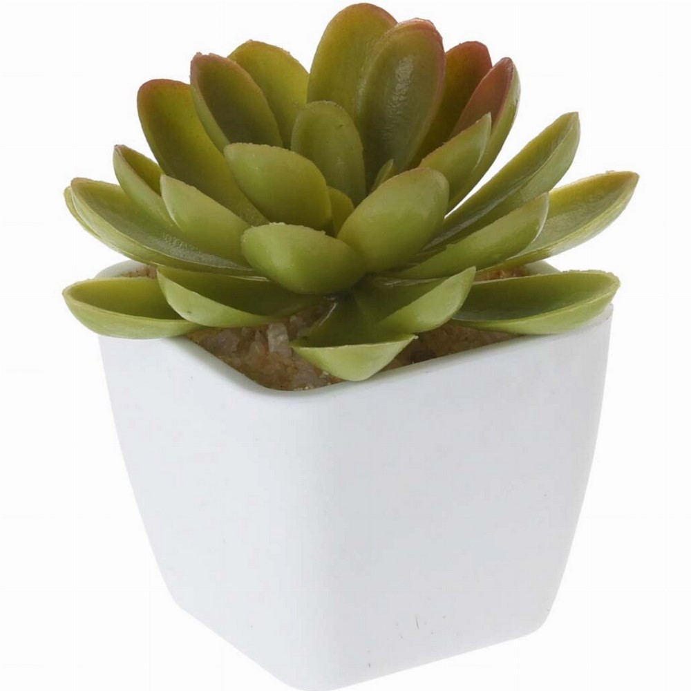 Koopman Artificial Plant 19Cm