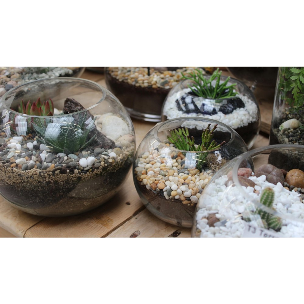 Koopman Deco Stones Gold Color In Jar 550 Ml
