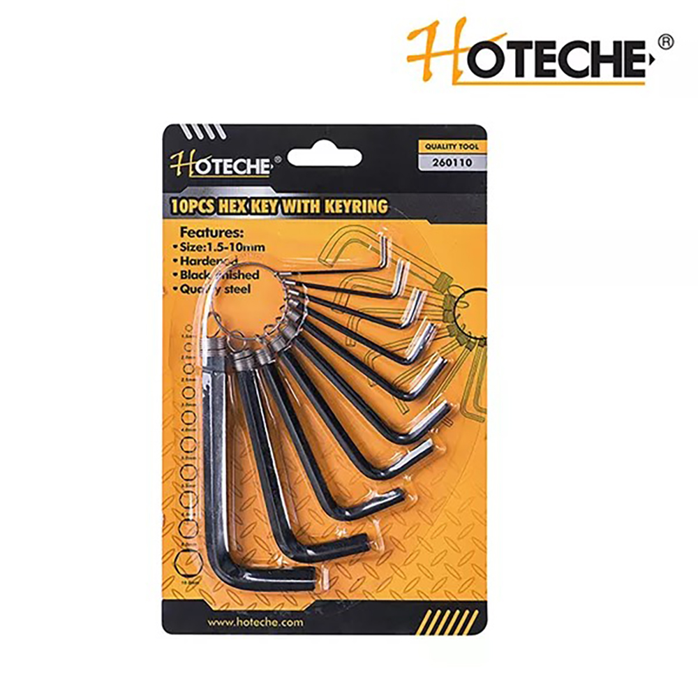 Hoteche 10Pcs Hex Key Set With Keyring